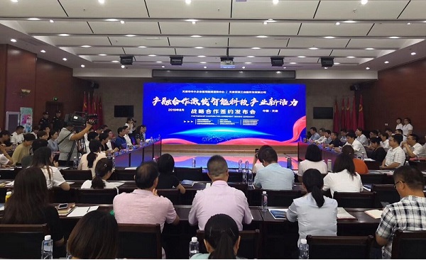 蜜桃网站在线观看科技喜获千万级担保授信